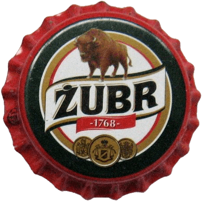 ZUBR 01