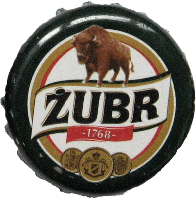ZUBR 02