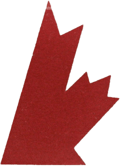 Team Canada Hockey Gold 02