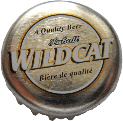 Wild Cat 02