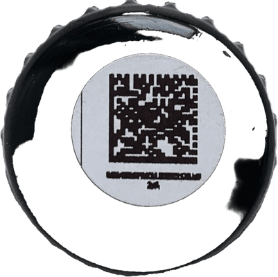 Птицы Захмелели 02   Хмельной Дрозд