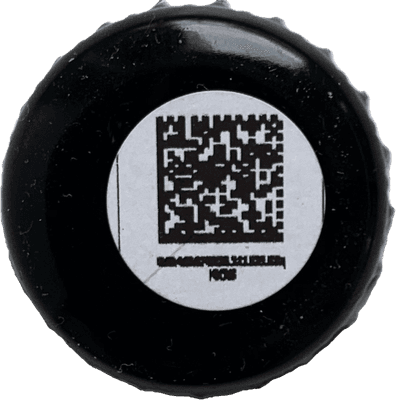 Птицы Захмелели 01  Бравый Ворон